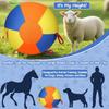 Extra Grote Knaagbestendige Interactieve Trainingsbal met Hoezen voor Hond Paard Agility Oefening Huisdier Training