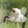 Cat Hammock: Floor-to-Ceiling Suction Cup Window Bed - Sunbathing Nest and Space Capsule Basket for Pets