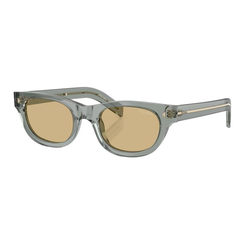 Prada Classic Triangle Logo Design Acetate Butterfly Sunglasses Men's Blue Gray