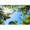Blue Sky Green Tree White Pigeon Ceiling Wallpaper 3d Large Ceiling Mural Simple Restaurant Living Room Ceiling Wallpaper