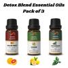 Ananta Detox Essential Oil Combo – Grapefruit, Lemon & Peppermint Aroma Oils (10 Ml × 3)