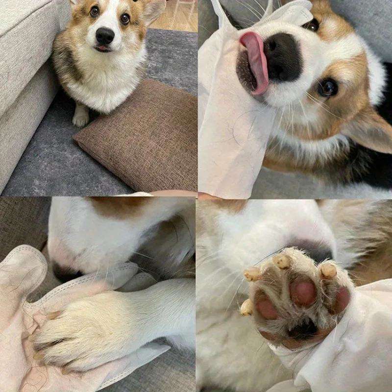 Pet wash free gloves cat shower wipes dog dry cleaning deodorization mittens tear marks removal foot wiping buttocks wiping mitt