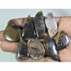 201Cts. Natural Tree Moos Agate Fancy Shape Cabochon Loose Gemstone 8Pcs Lot C-327
