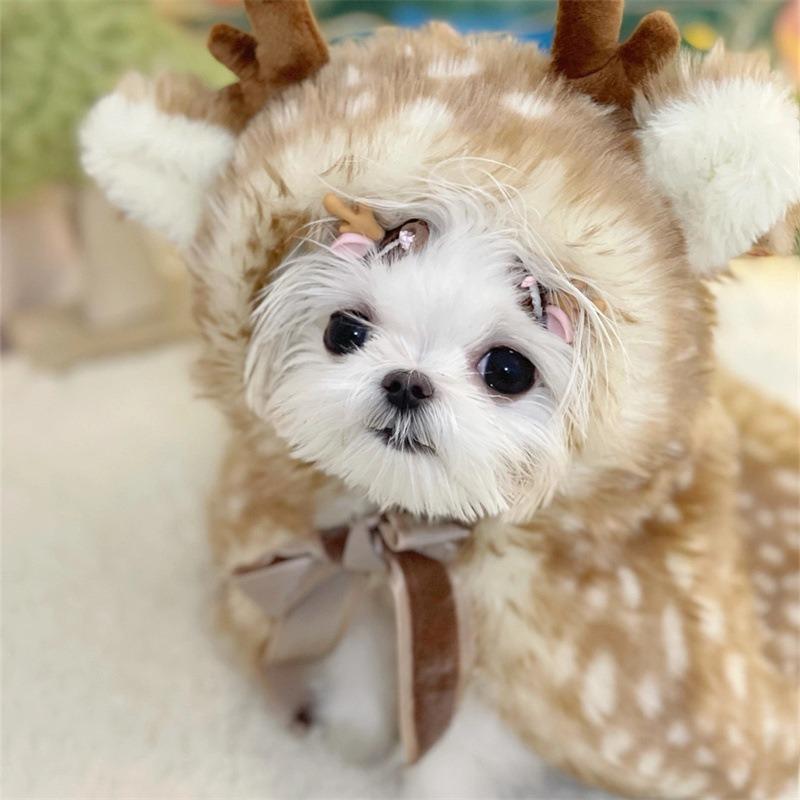 Ropa Navideña para Mascotas Capa de Alce Capa Invierno Cálido Suéter Sombrero para Perro Gato Suministros para Fotos de Mascotas M white