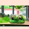 Fish Tank Ornaments, Aquarium Resin Wine Barrel Decorations, Fish Tanks Hideout Cave House Landscaping For Fish Shrimp Breeding Resting Playing