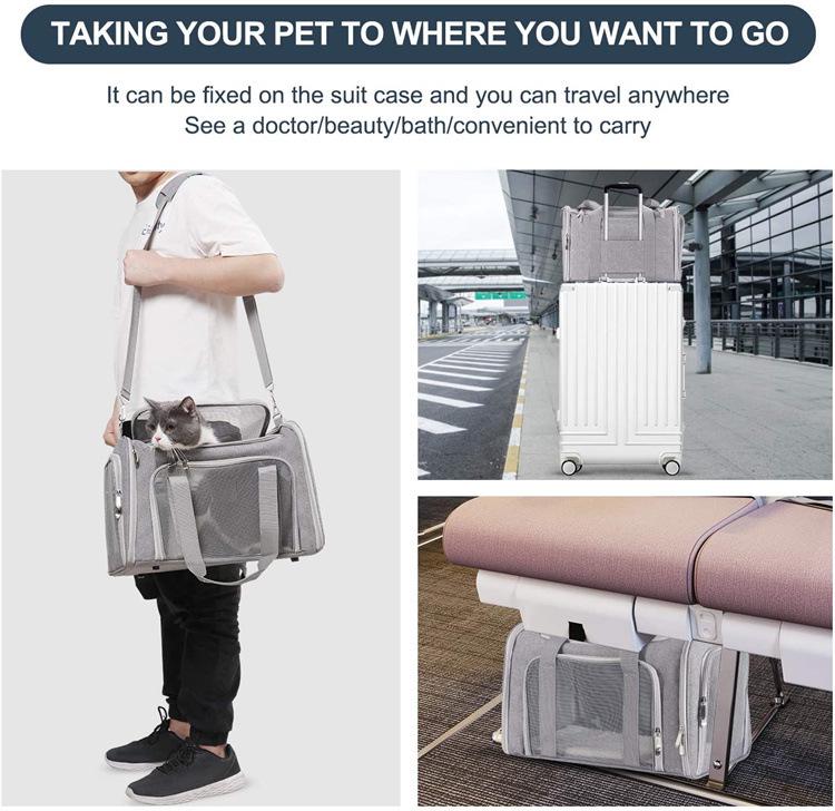 Portable Foldable Pet Backpack: Breathable Cat & Small Dog Carrier