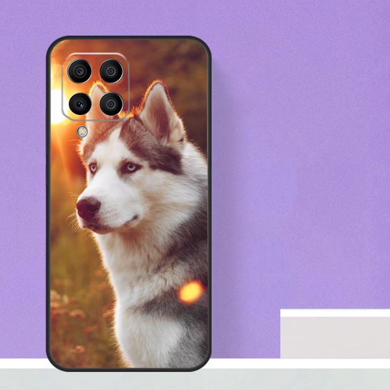 Animal Husky puppy Case For Samsung Galaxy M14 M34 M54 M31 M11 M13 M53 M51 M12 M32 M52 M16 M36 M56 M15 M35 M55