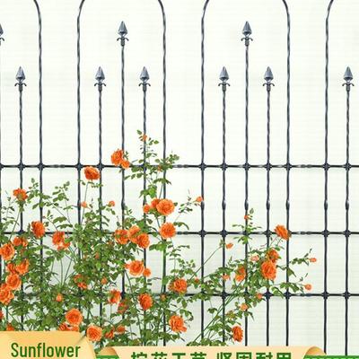 Suporte Estrutura Trepadeira para Rosas e Clematis ao Ar Livre com Pérgola para Varanda ou Jardim