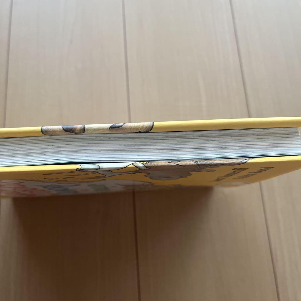 [USED] MOUSE COOKIES & MORE A TREASURY English Picture Book