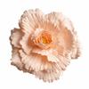 30/40/50cm Giant PE Foam Rose Giant Size PE Foam Material Wedding Backdrop Decoration Peony Flower Simulation Design