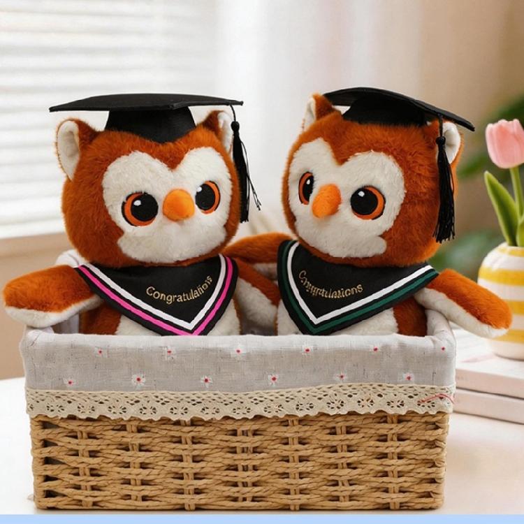 Plush Owl Toy with Doctor Hat Graduation Themed Accessory Unique Gift For Preschoolers Home Decoration