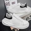 Big head wide last classic versatile spring little white shoes 2025 thick sole heightening lace-up sports men's casual shoes