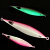Luminous Ocean Trolling Lead Fish Lure - 160g Shore Casting Bait