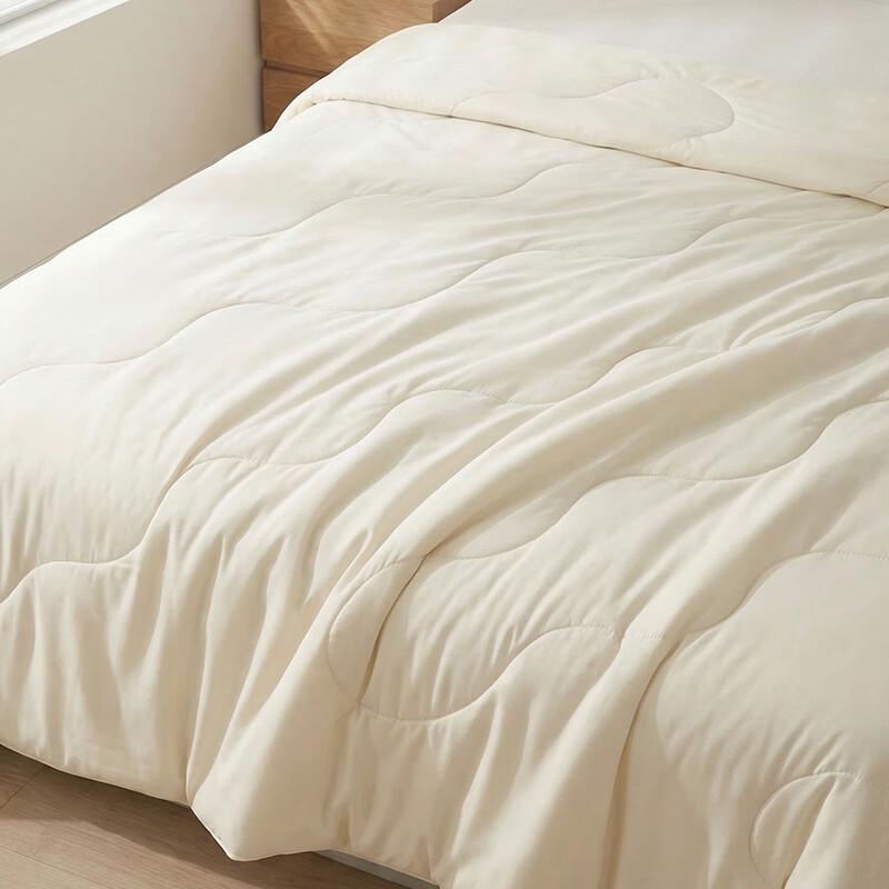 Langsha Silk Summer Quilt