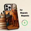 Tung Sahur Tralalero Tralala -lala  Phone Case For iPhone17,16,15,14,13,12,11 Plus,Pro Magnetic with Magsafe Wireless Charging