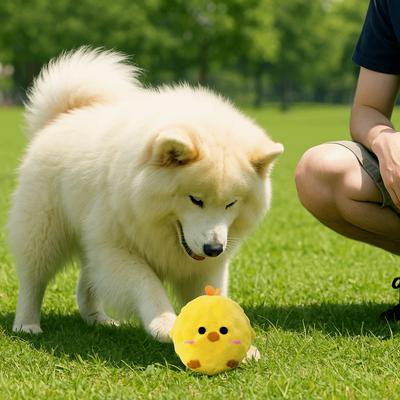 Cute Cartoon Dog Chew Toy Animal Shape Bite Resistant Puppy Squeaky Toy Plush TPR Prick Ball Toy Relieve Boredom