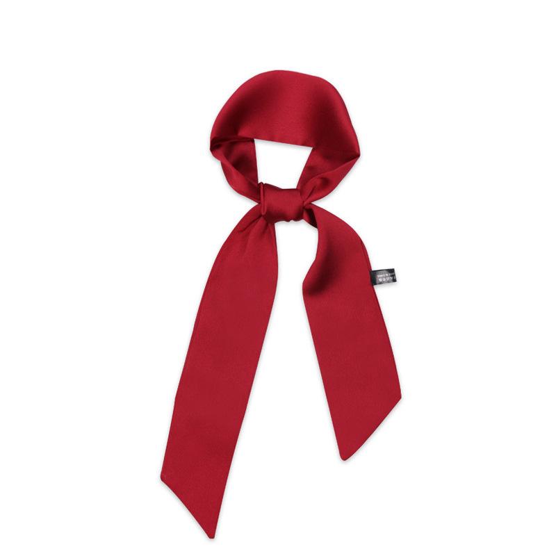 Women's Solid Silk Ribbon Scarf: Thin, Long, Narrow Neck Tie & Shirt Accessory