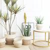 Nordic-style Rattan-woven, Straw-woven Flower Basket, Bamboo-woven Planter for Green Plants, Floor-standing Willow-woven Plant