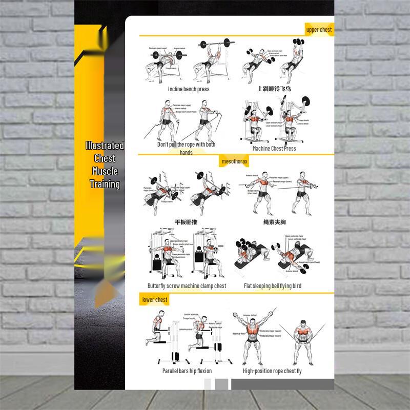 Fitness Training Pose Action Charts (PP Adhesive 40x60cm)