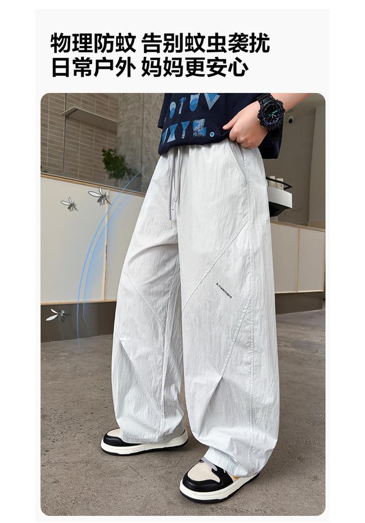 Boys' straight leg wide leg loose casual pants 2026 new style for children, middle-aged and young boys, summer thin design, mosquito proof sport
