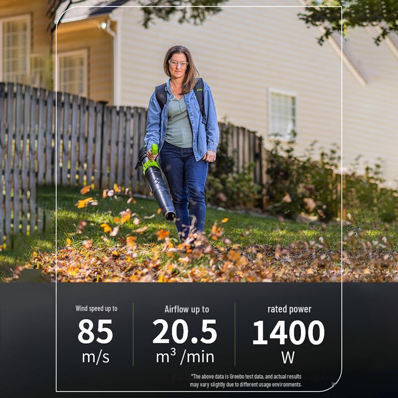 Greenworks Backpack Leaf Blower CN plug (adapter included)