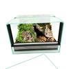 Glass Terrarium with Equipment 30x30x20cm Set for Ground Spiders
