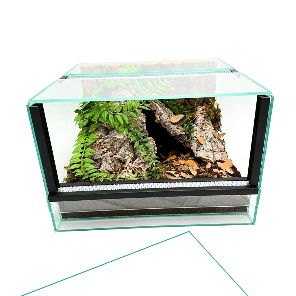Glass Terrarium with Equipment 30x30x20cm Set for Ground Spiders