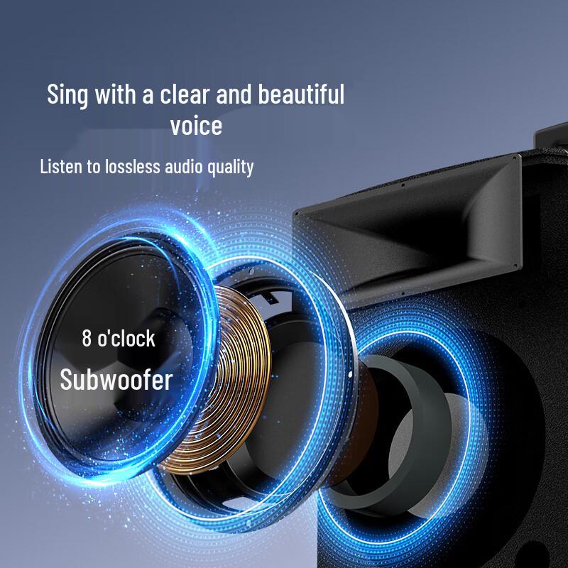 HiVi Portable Outdoor Bluetooth PA Speaker with Dual Wireless Microphones CN Plug (adapter Included)