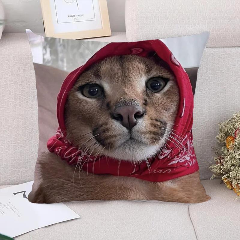 Caracal Poduszki na sofę Poszewka dekoracyjna x Poszewki na poduszki Poduszki dekoracyjne Wystrój domu Poszewka na poduszkę Krótki plusz