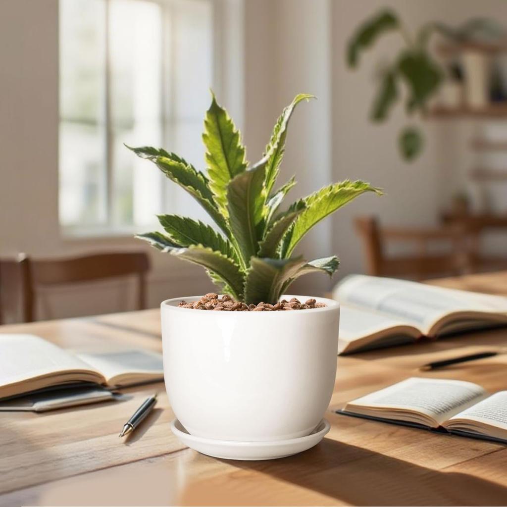 YOUXUANLIPIN Inch Round Ceramic Planter with Drainage for Indoor Light Nordic for Houseplants 5.5 Saucer, Hole, White, Plants, White, Surface,