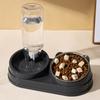 Automatic Double Bowl Pet Feeder: Slanted Stainless Steel Bowl for Cats & Dogs