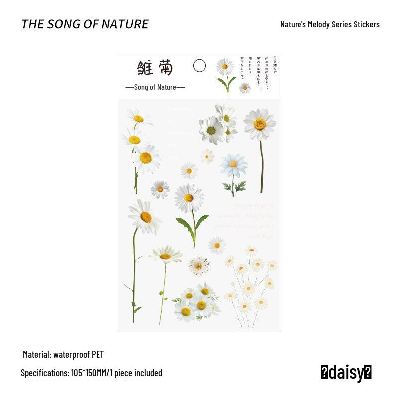 PVC Flower & Plant Stickers for DIY Crafts, Journals, Collages & Kids' Gifts