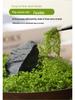 Artificial Green Moss Turf Lawn for Landscaping and Garden Decor
