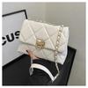 Elegant Casual Single Shoulder Small Square Bag 2024 New Simple Chain This Year Popular Solid Color Small Bag Female