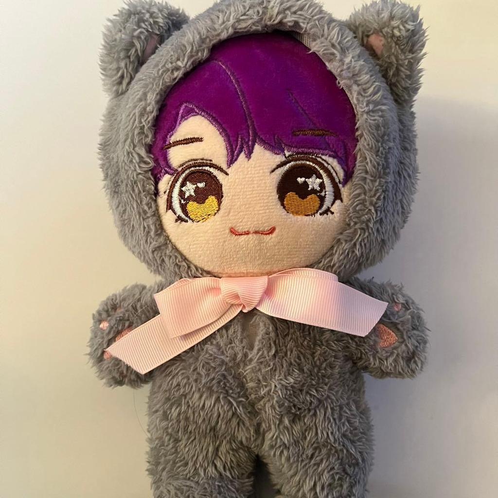 Used SEVENTEEN Sebuchi Jun Plush Toy