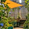 4x5 Sun Shade Sail - 420D Oxford Polyester, UV Protection, Garden Rainproof