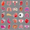 50 Human Organ Doodle Stickers for Decorating Phone Cases & Suitcases