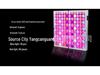 Full Spectrum 25W/45W/65W Greenhouse Indoor Seedling Grow Light