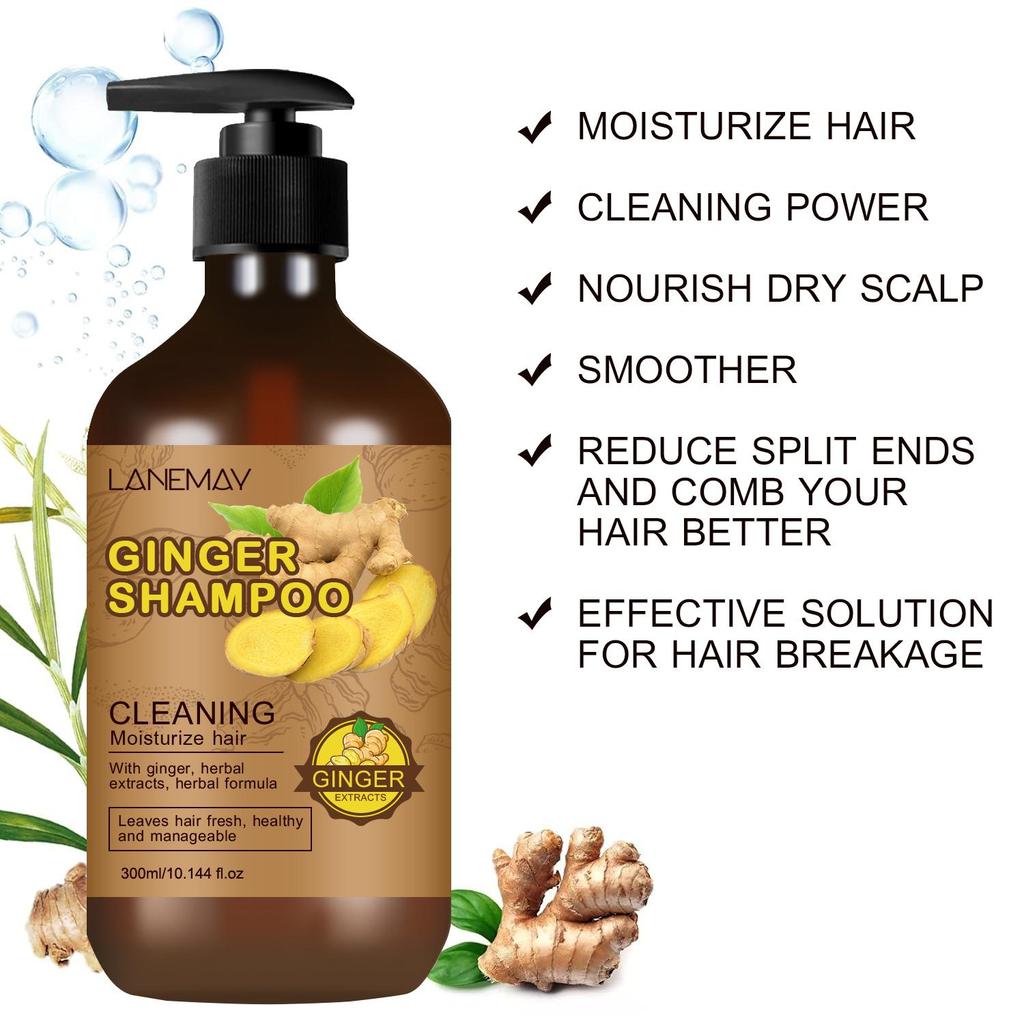 Ingwer-Shampoo – Reinigt und befeuchtet das Haar, stärkt und pflegt das Haar, reduziert Spliss und Haarbruch – Geeignet für alle Haartypen, 300 g