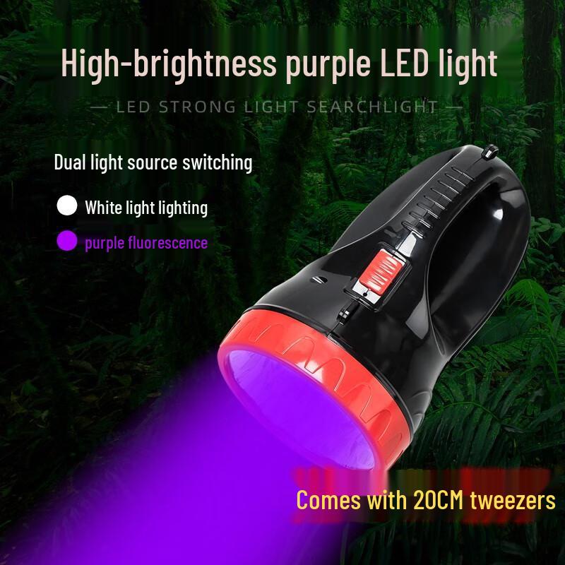 Lurong High-Power Rechargeable LED Outdoor Lighting