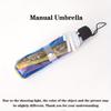 umbrella Colorful transparent automatic umbrella Travel lightweight folding umbrella Wind and rain resistant three fold umbrella
