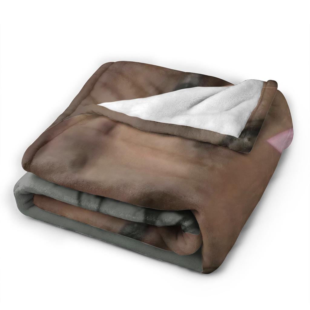 Heated Rivalry Ilya Rozanov Reaction Photo Blanket Cute Flannel Novelty Warm Throw Blankets for Bedspread Textile Decor Couch
