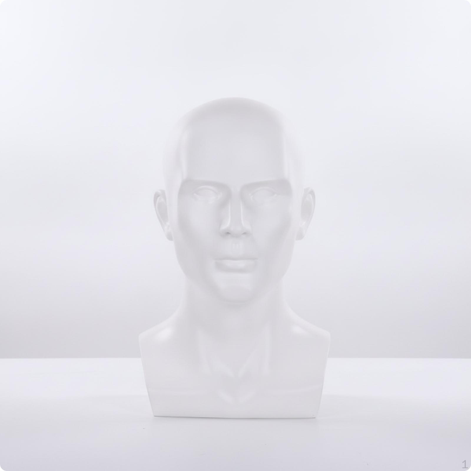 Male Mannequin Head with Shoulders Realistic
