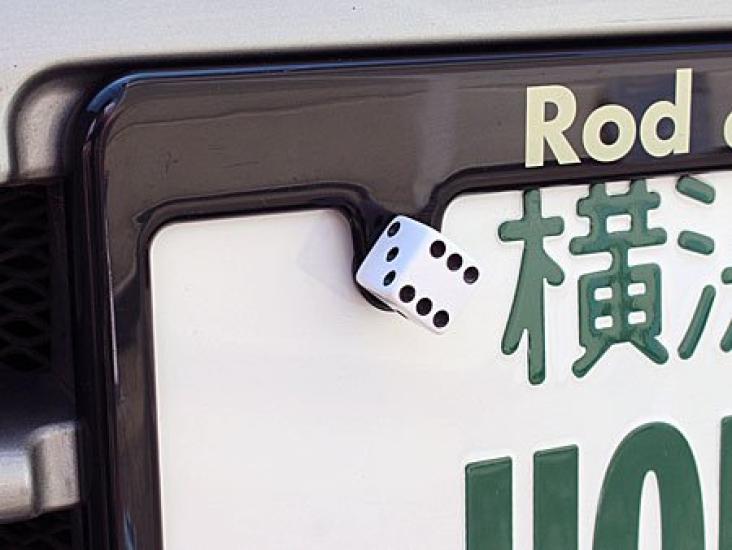 License Plate Bolt Dice (White) NB-AA113WH-MON