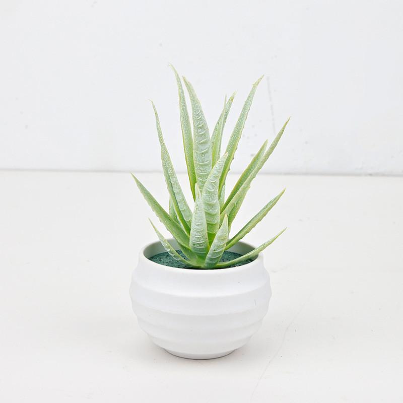 Succulent Aloe Vera Simulated Green Plant For Home And Office Table Decor