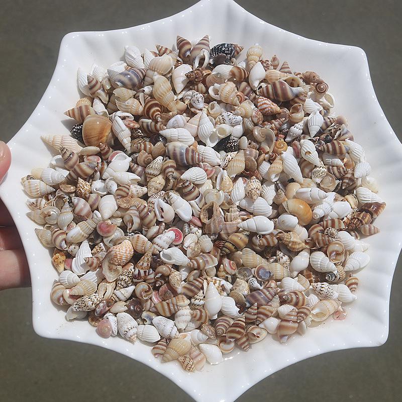 Рамка из натуральных морских ракушек и морских звезд ручной работы для DIY аквариума или ландшафтного дизайна