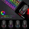 MAMBASNAKE 383 Wired Lightweight Honeycomb 4RGB 2400DPI Compatible with USB Optical Computer Mouse with Japanese Instruction Manual Ultra-lightweight