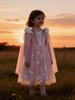 Pink Princess Autumn/Winter Elsa Dress for Girls