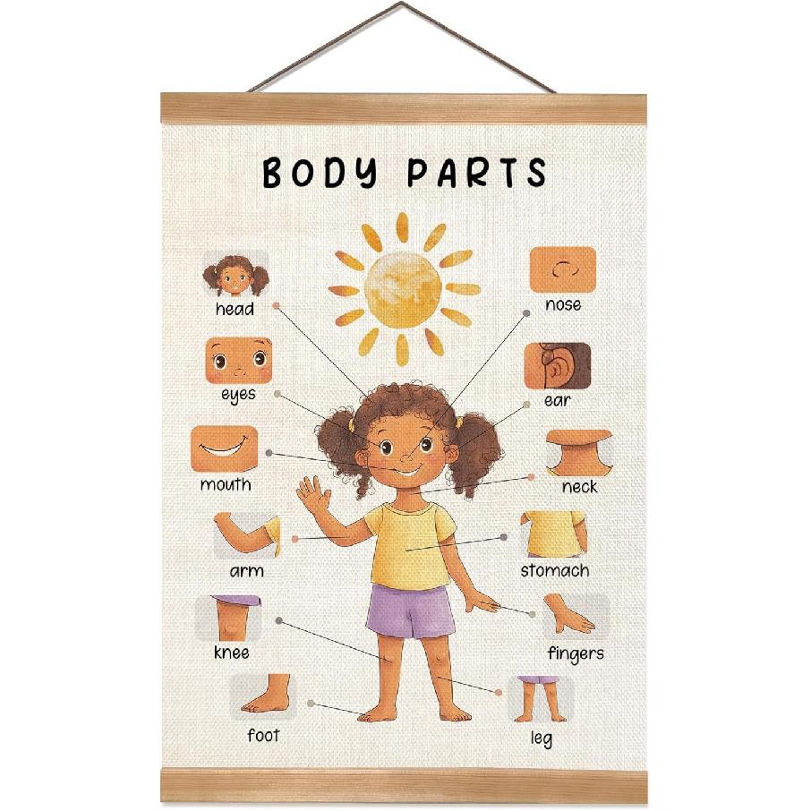 Body Parts Poster, Body Parts for Kids, Body Educational Learning Posters Body Parts Learning Wall Chart for Kids, Kindergarten Teaching Supplies,