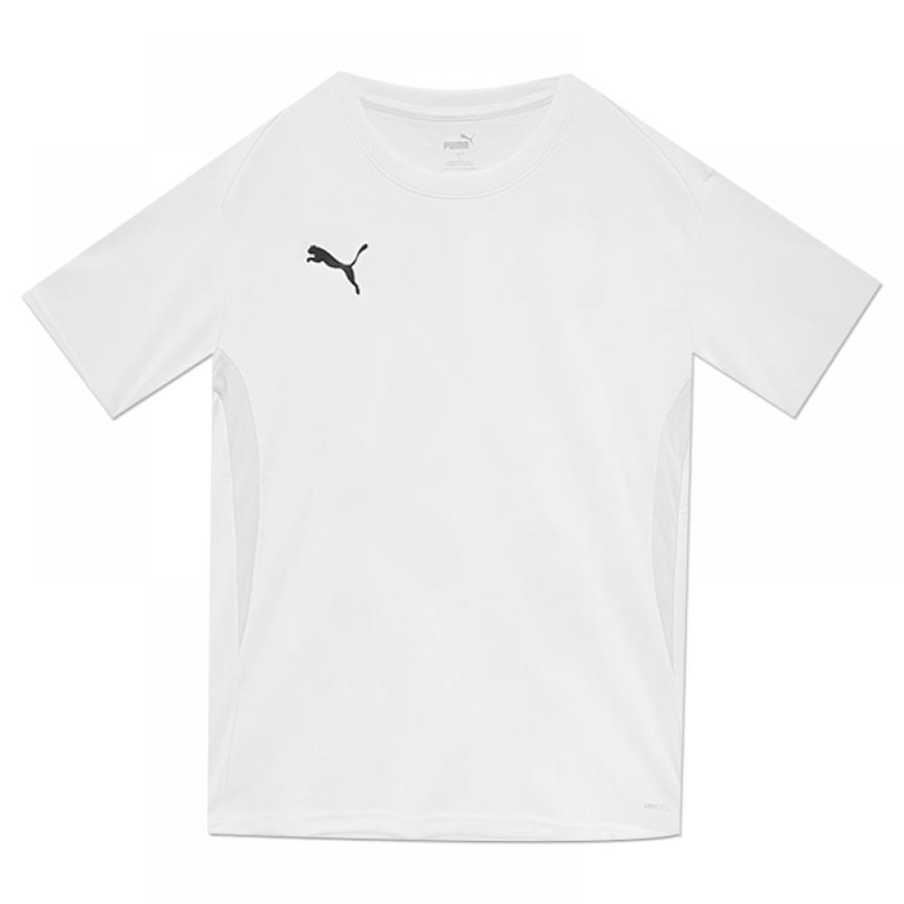 

ФУТБОЛКА PUMA TEAM GOAL SIAN FIT 65940304 085/65940304